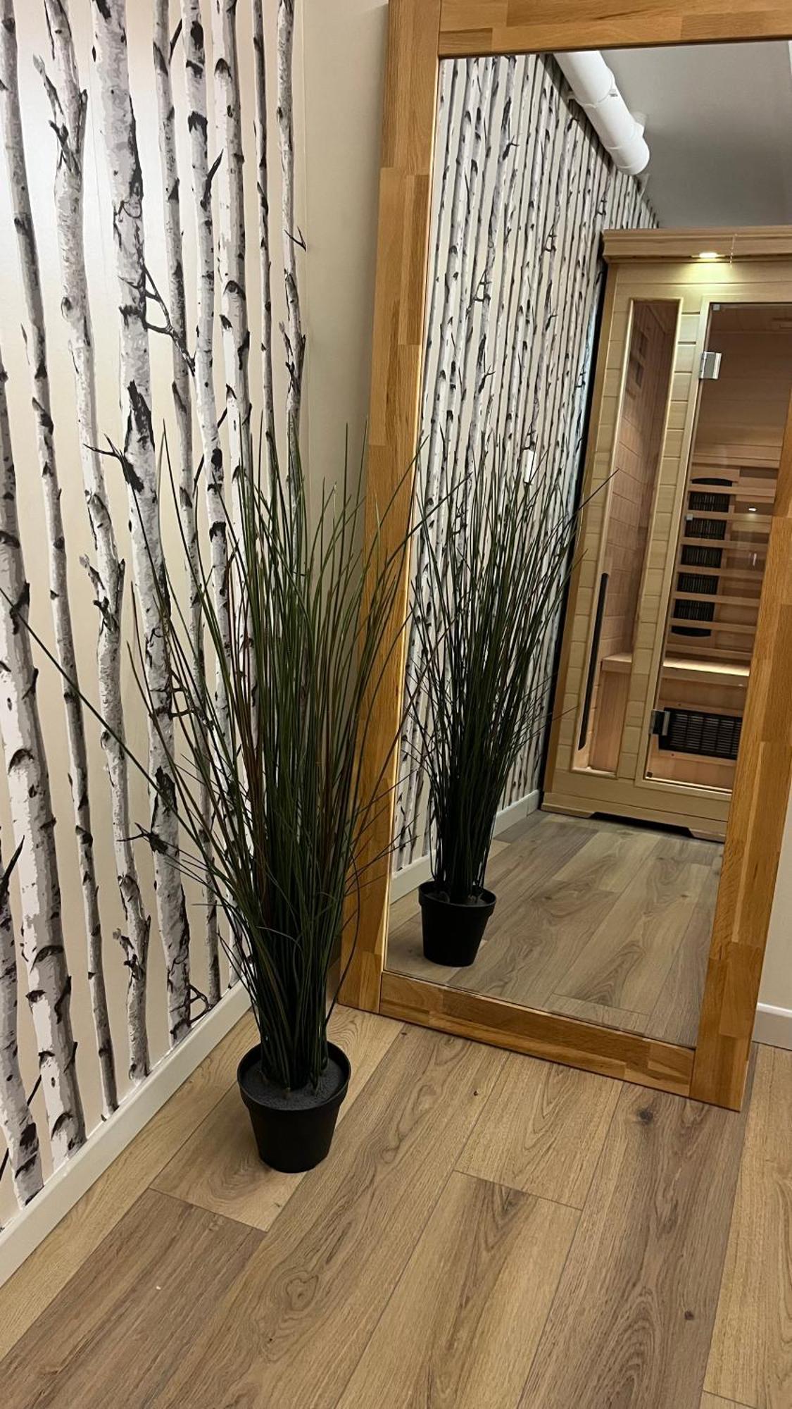 100 M De La Mer, Sauna, Wifi Appartement Mers-les-Bains